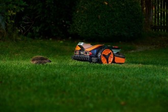 
Inne roboty koszące wpadają na przeszkody. Nie jest to problem, gdy uderzają w meble ogrodowe i drzewa, ale ma kluczowe znaczenie, jeśli chodzi o zwierzęta domowe, dziką przyrodę i ludzi. Vision zachowuje ostrożność rozpoznając obiekty.omatycznym balansem bieli, która radzi sobie z ekstremalnym kontrastem i odblaskami.