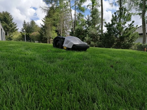 instalacja robotów koszących w Szczecinie 