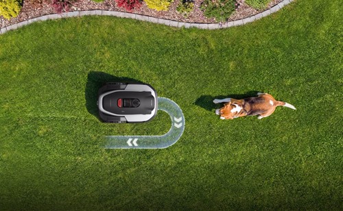 Robot koszący Roborock poruszający się po zielonym, zadbanym trawniku Kup już dziś a jutro ciesz się pięknie skoszonym trawnikiem! 