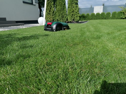 instalacja robotów koszących w Szczecinie 