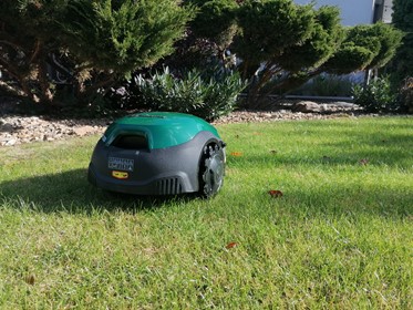 Czy robot koszący jest bezpieczny dla domowników?